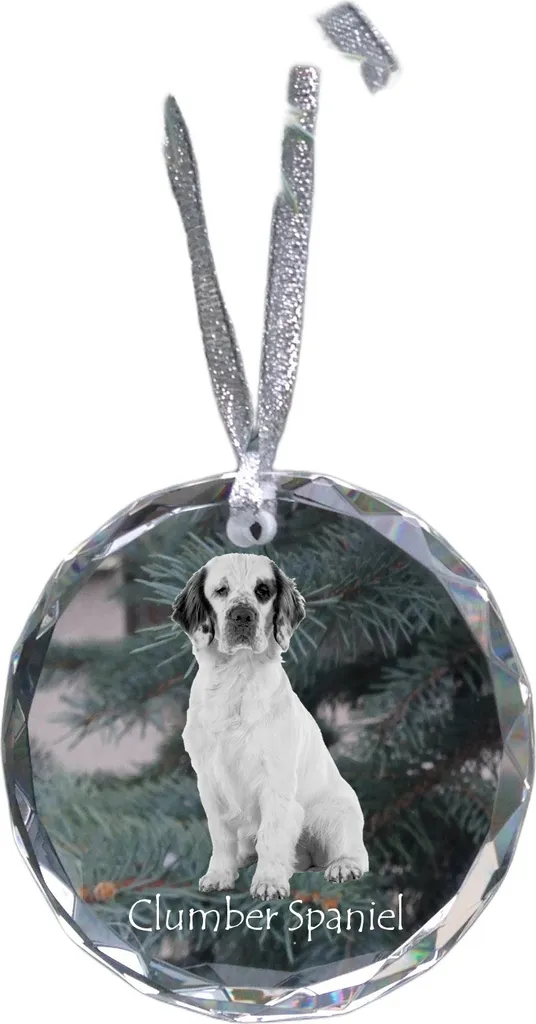 Clumber spaniel - decorazione in cristallo con foto, foto del cane in cristallo, decorazione natalizia personalizzata del marchio Art-Dog