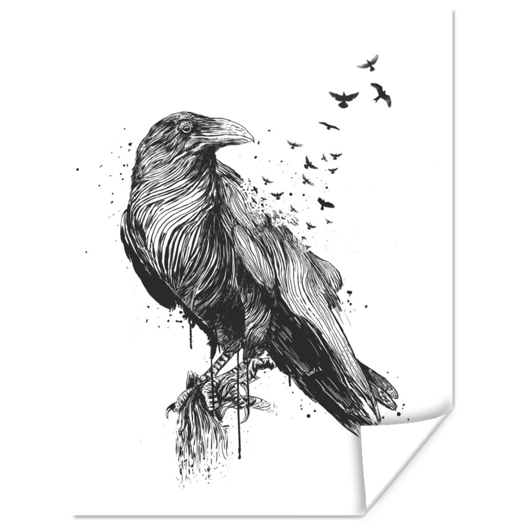 MuchoWow Poster Krähe - Vögel - Schwarz und weiß 120x160 cm - Wandbilder