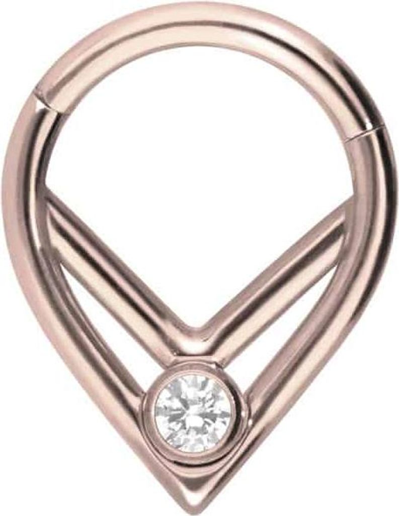 Ohrpiercing, Nasenpiercing, Septum Piercing Titan Segmentring Clicker 2 SPITZE RINGE + KRISTALL