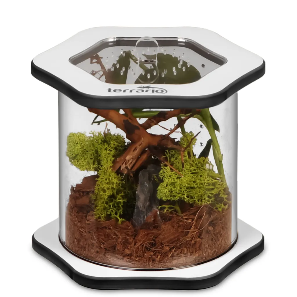 Teca Professionale Acrilico Med100 Spiders Tube - Design per Invertebrati