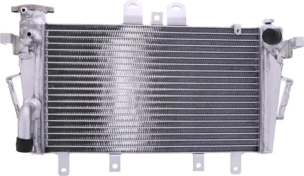 JMP TRS-R-707 Radiateur de Refroidissement Eau pour Triumph TIGER 800