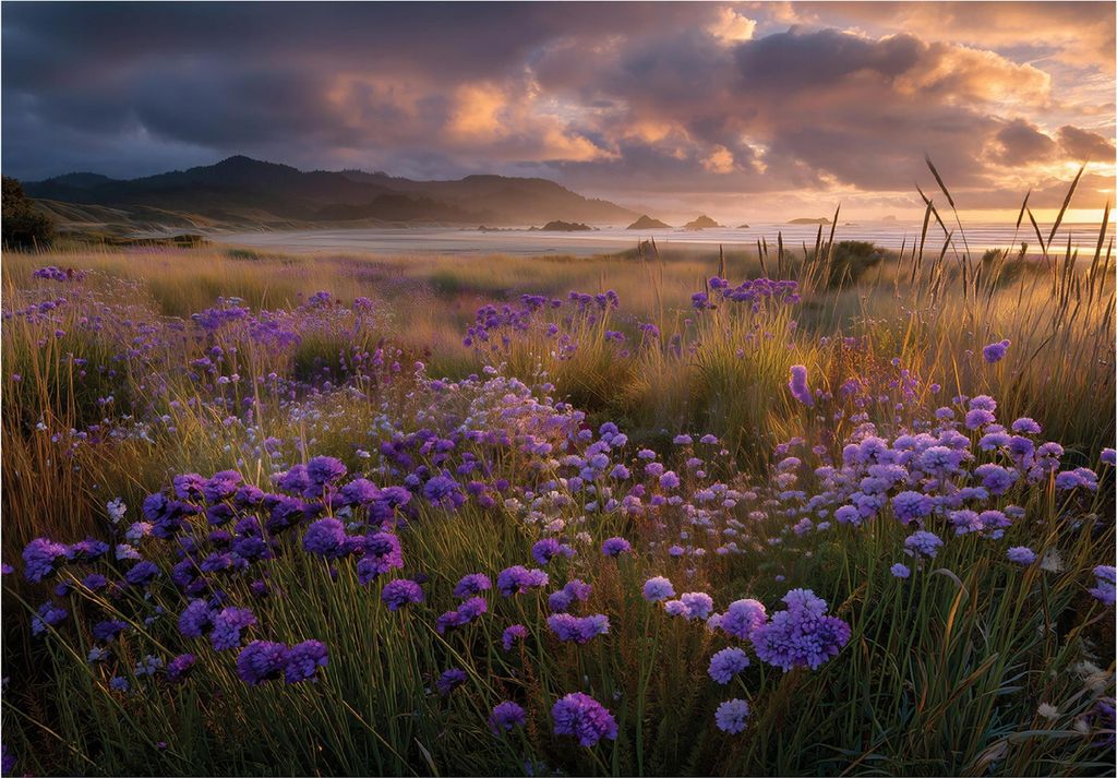 Fototapete Landschaft Blumen Natur - 400x280 cm - Vliestapete Wohnzimmer Schlafzimmer - Vlies Fototapete Beige - 16327VX8