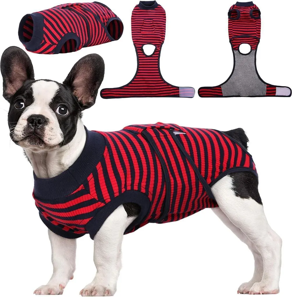 Body Chirurgico Cane XS Rosso Strisce - Stile e Protezione Post Op