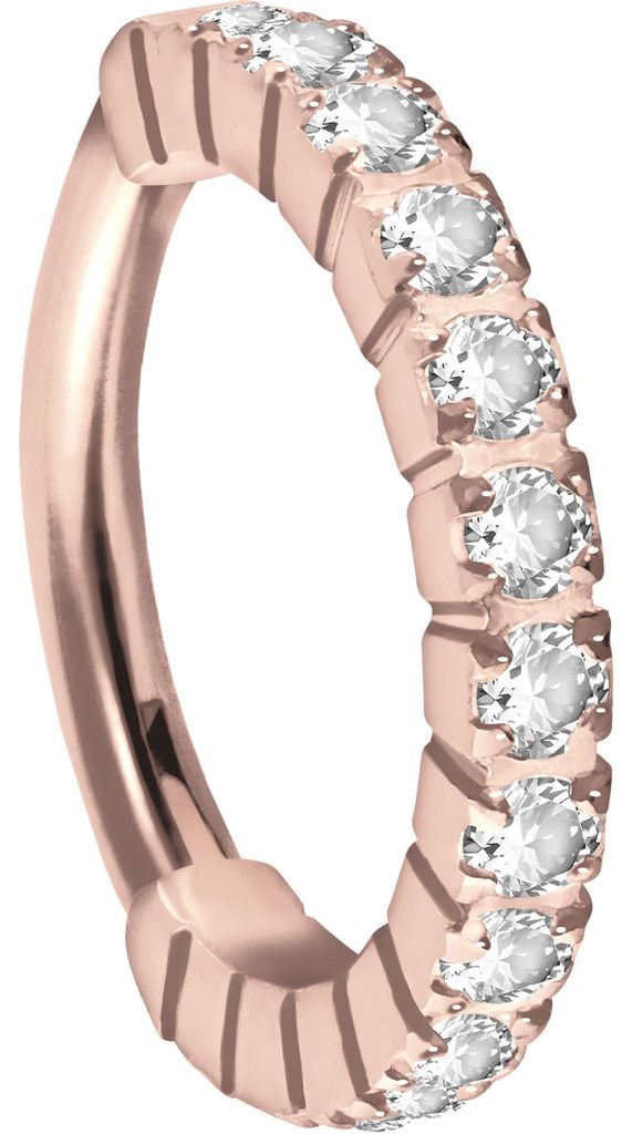 Ohrpiercing, Nasenpiercing, Septum Piercing Titan Segmentring Clicker EINGEFASSTE KRISTALLE RoséGold Innendurchmesser: 8 mm