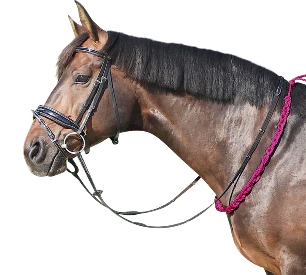 EQuest Beginner-Balancezügel in verschiedenen Farben, Farbe:Red, Größe:M 120 cm