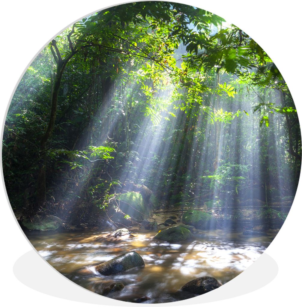 MuchoWow Rundes Wandbild - Runde Bilder Sonnenstrahlen dringen durch die Bäume in den Regenwald von Malaysia Ø 90 cm Kreis Wanddekoration Kunst...