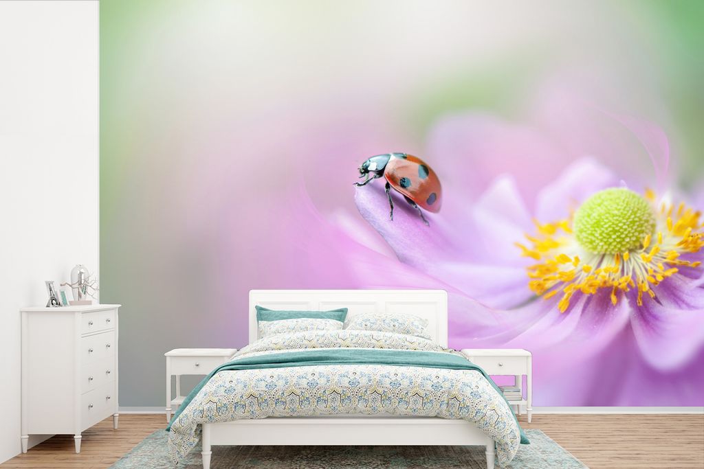 MuchoWow Fototapete für Wohnzimmer oder Schlafzimmer Wandtapete Vinyl Motivtapete Marienkäfer auf einer rosa Anemone - 390x260 cm - Papiertapete