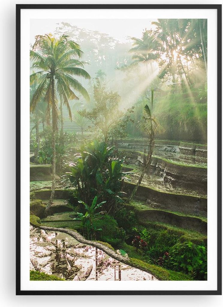Gerahmtes Poster - Schwarzer Rahmen - Terrassen Reis Palmen - 70x100 cm - Wand Bild - Wanddeko - Wandbilder - Kunstposter - Wandposter - Bilderrahm...