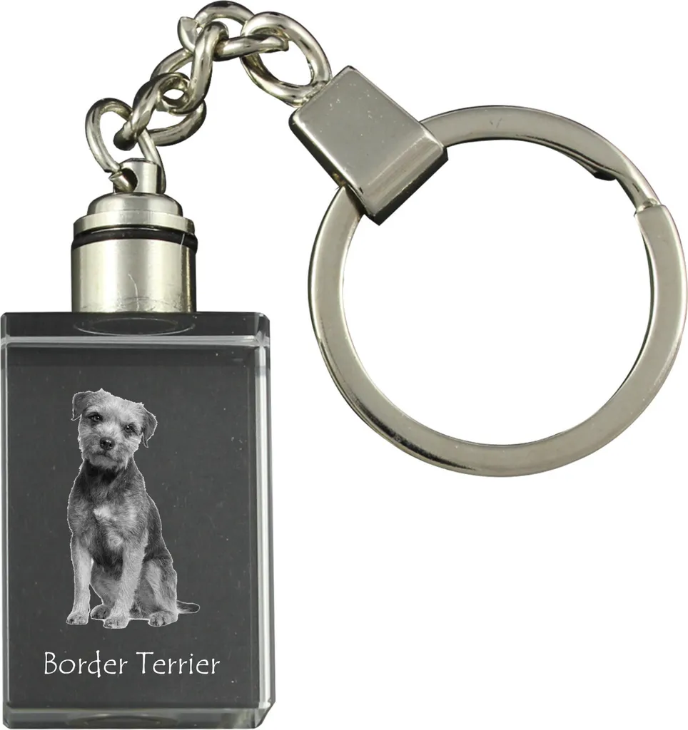 Offerta Portachiavi Border Terrier Art-Dog Cristallo LED - Alta Qualità