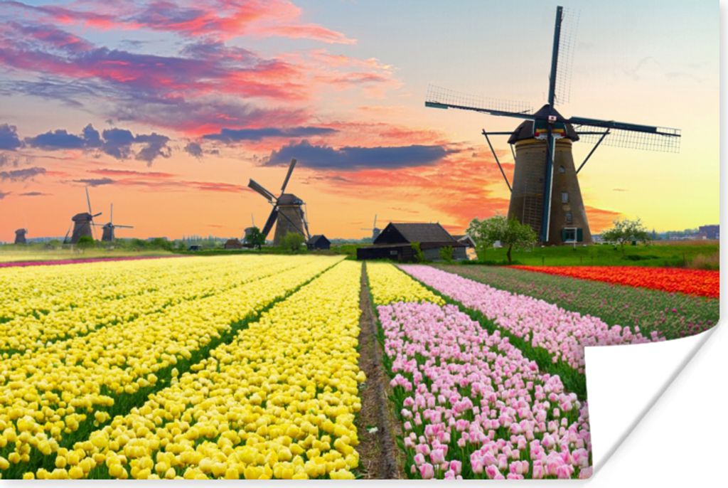 MuchoWow Poster Tulpen - Windmühle - Natur 120x80 cm - Bilder
