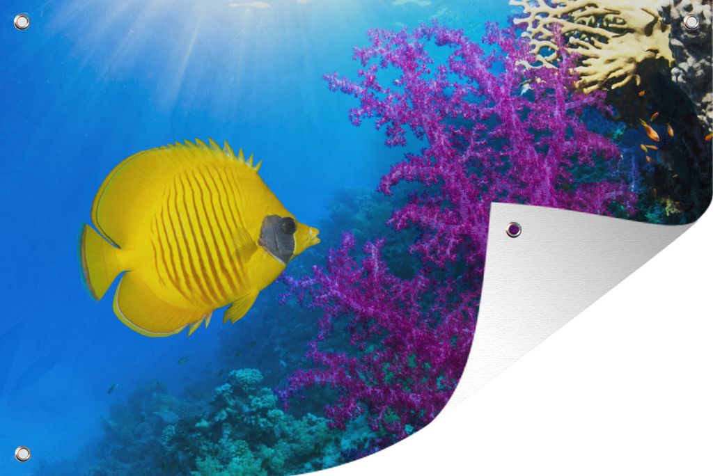 MuchoWow 120x80 cm Outdoor-Poster Gartendeko Sichtschutz Garten Poster für den Garten Ein gelber Korallenschmetterling neben wunderschön gefä...