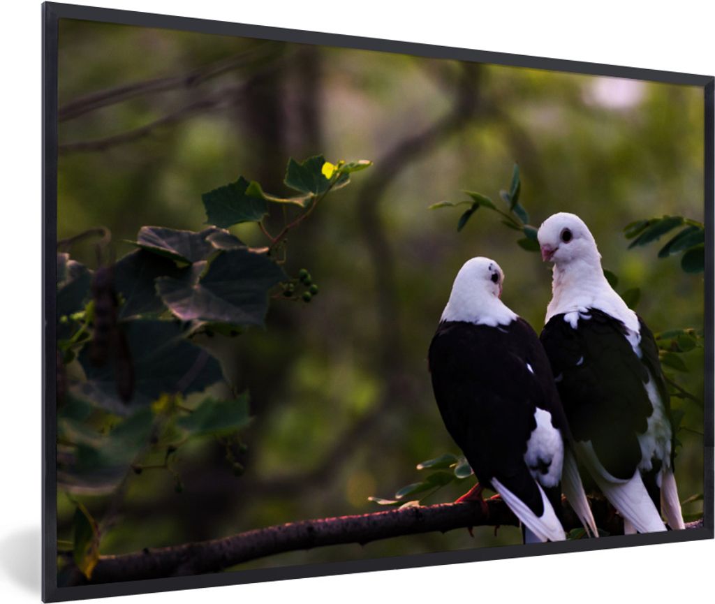 MuchoWow MuchoWow Gerahmtes Poster Vögel - Zweig - Blätter 90x60 cm - Poster mit zchwarzem Bilderrahmen - Fotorahmen - Foto-Plakat