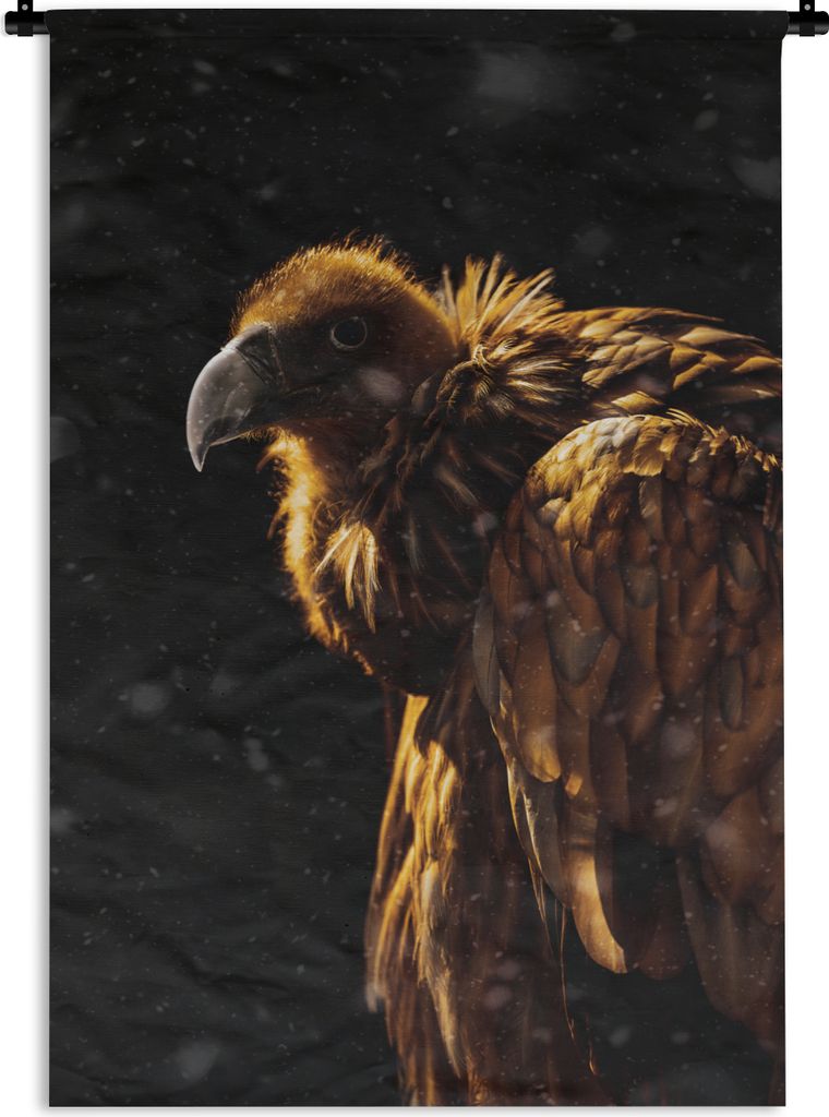 MuchoWow Wandteppich Wandbehang Geier - Vogel - Raubvogel 60x90 cm Tapisserie Dekoration Wandtuch - Foto-Teppich - Abwaschbar