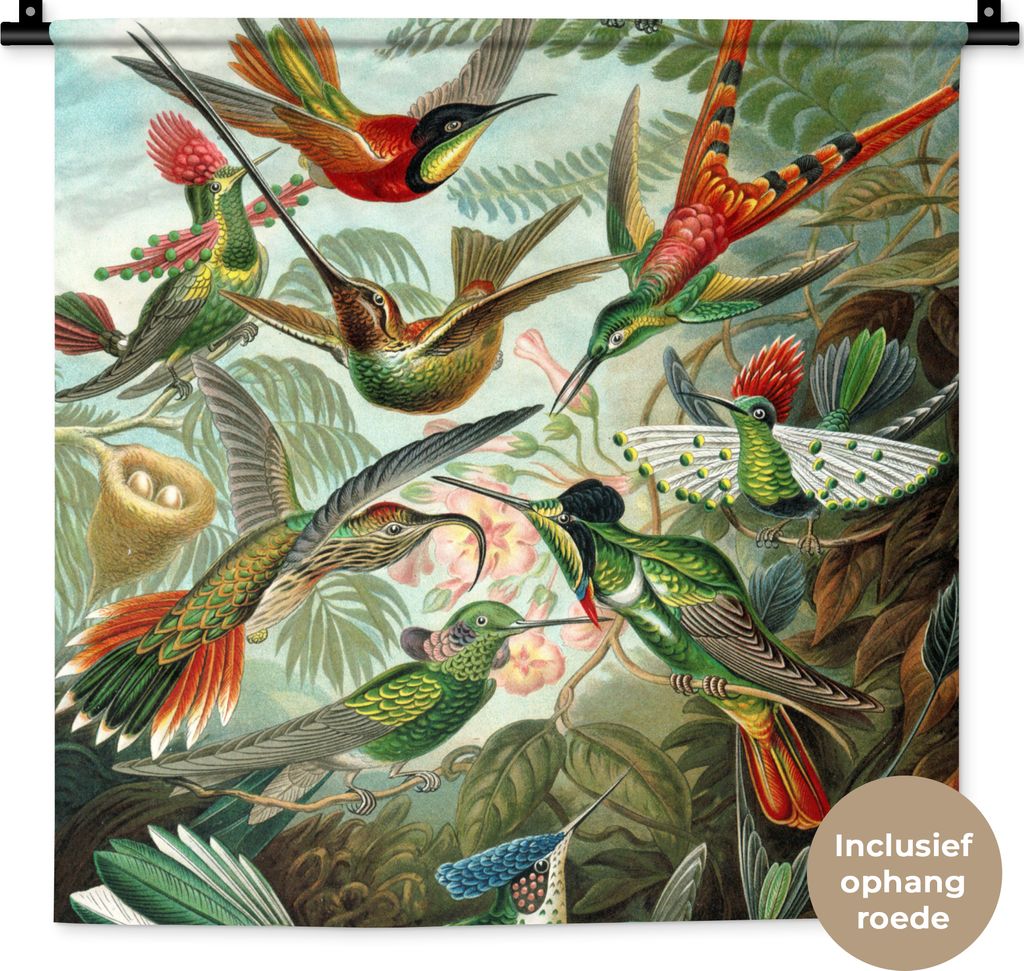 MuchoWow Wandteppich Wandbehang Trochilidae - Ernst Haeckel - Vogel 60x60 cm Tapisserie Dekoration Wandtuch - Dekorationen - Wand Decke
