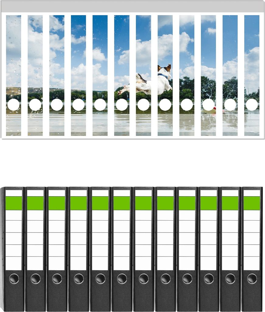 Wallario 12 Stück schmale Ordner inkl. Klebeetiketten mit Motive Jack Russel Terrier im Wasser - Set mit Rückenschildern / Ordnerrücken Stickern