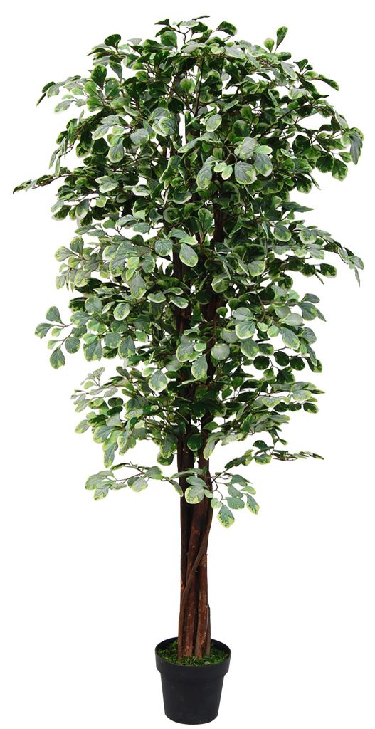Ficus Benjamin Birkenfeige Kunstpflanze Kunstbaum Produktbild 
