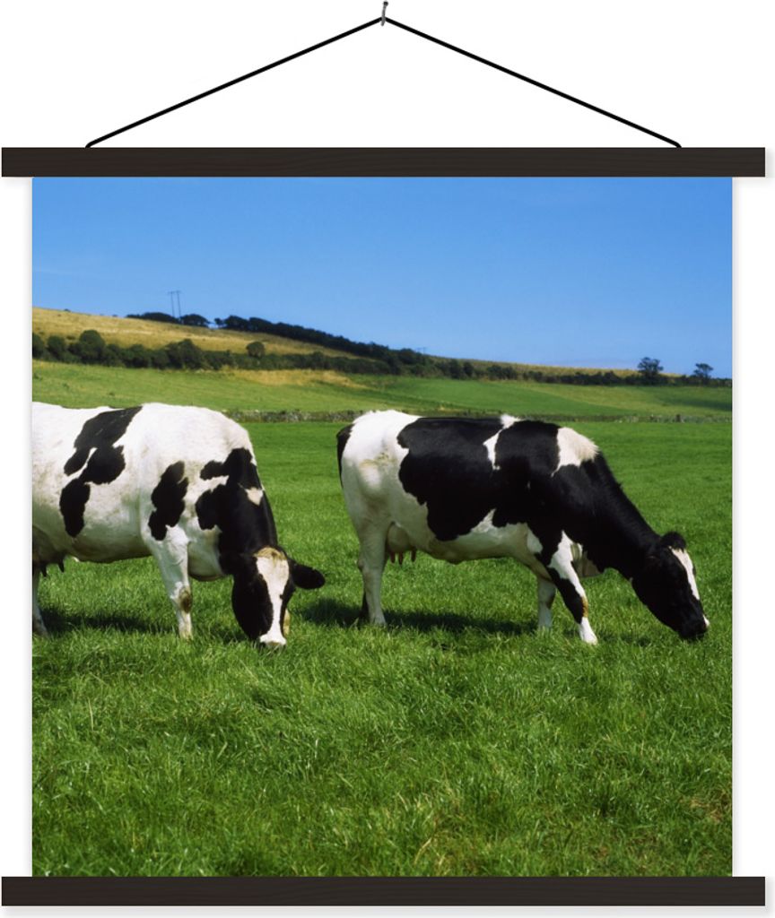 MuchoWow Textilposter Kuh - Tiere - Gras 40x40 cm mit schwarzem Rahmen - Fotos