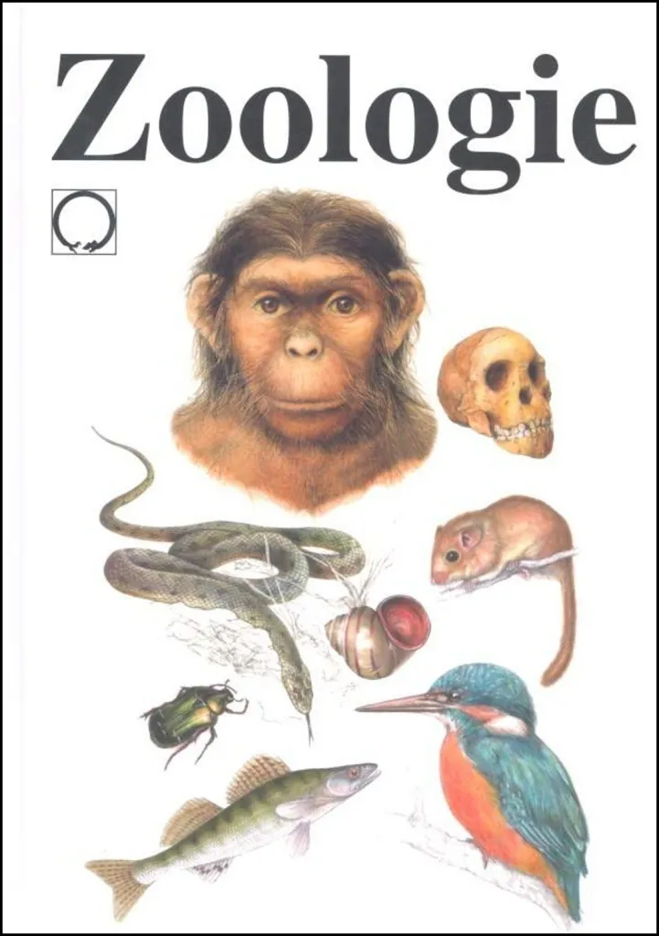 Zoologie Zicháček : Illustrations Naturalistes de Haute Précision