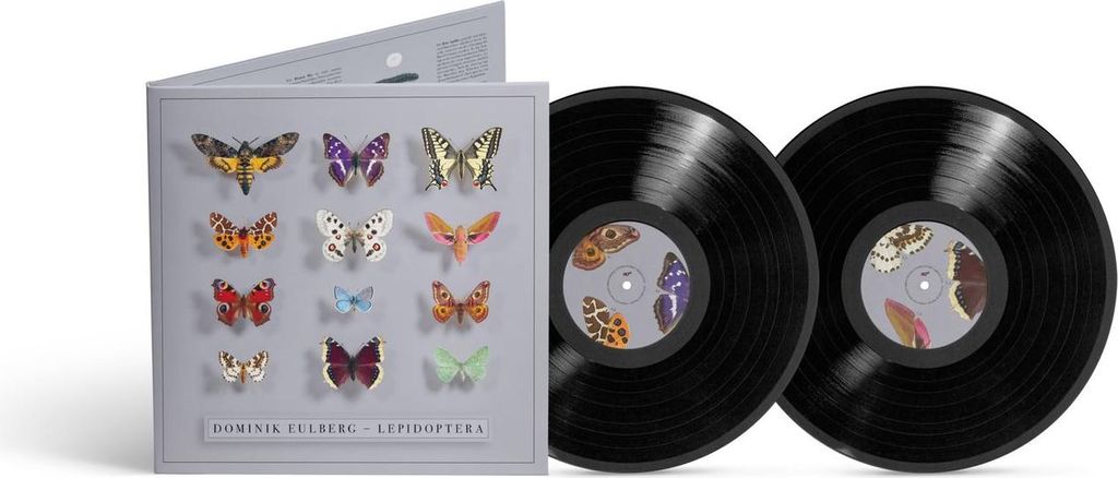 Dominik Eulberg: Lepidoptera