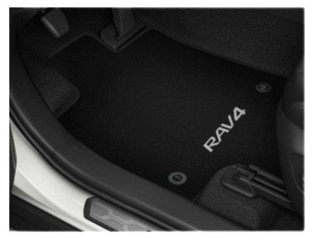 TOYOTA Rav4 Original Velours Fußmatten Set PW210-42011 OE