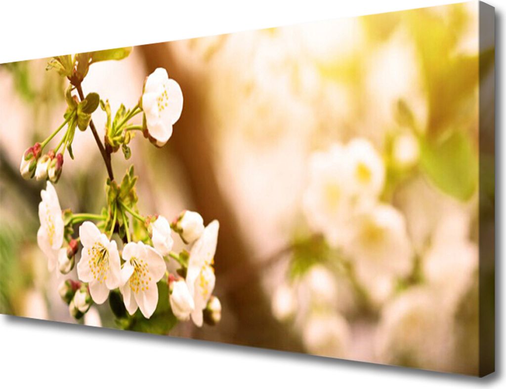 Tulup Leinwand-Bilder 100x50 Wandbild Canvas Kunstdruck Blumen Pflanzen