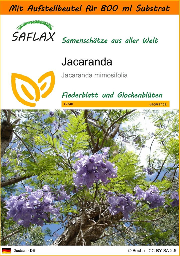SAFLAX Garden in the bag - Jacaranda - Jacaranda Produktbild 