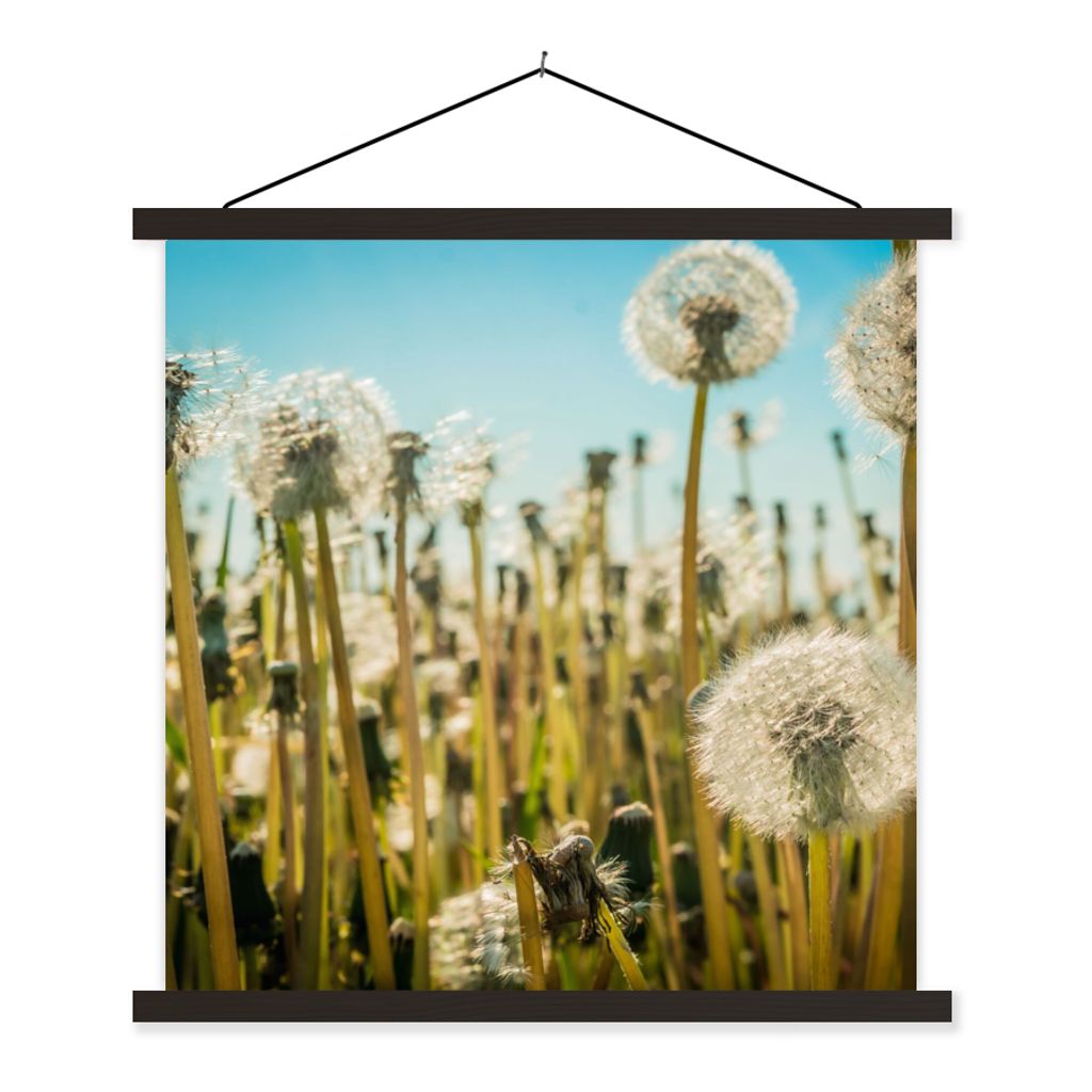 MuchoWow Textilposter Blumen - Löwenzahn - Gras 90x90 cm mit schwarzem Rahmen - Magnetisches