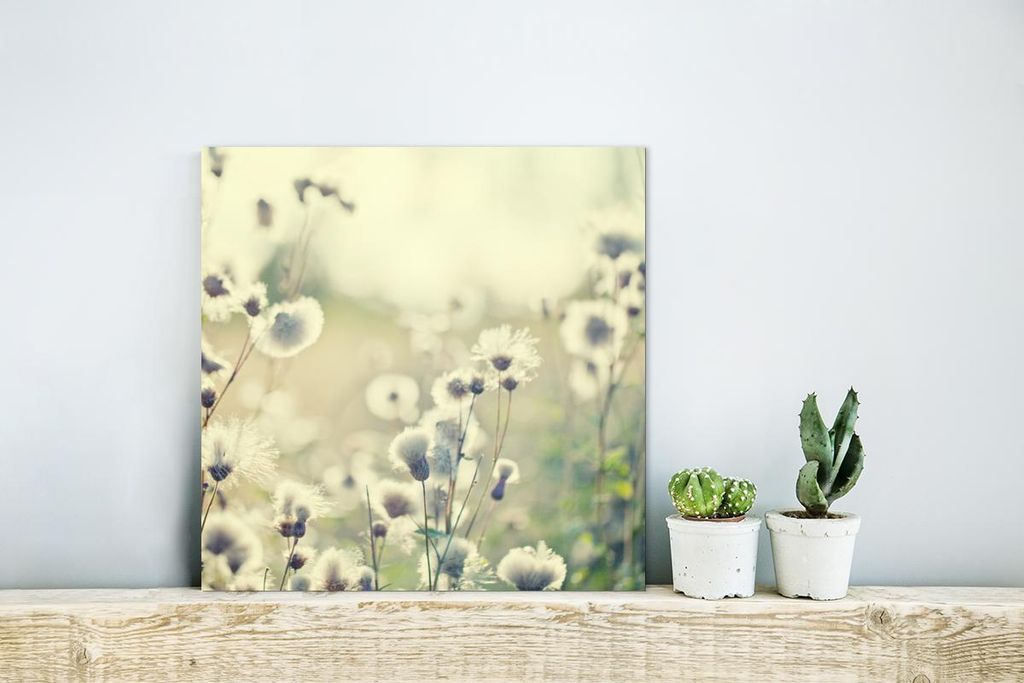 MuchoWow Wanddekoration Metall Metallbild Wandkunst 20x20 cm Blumen - Feld - Weiß MuchoWow Aluminium Gemälde - Alu Dibond Bilder