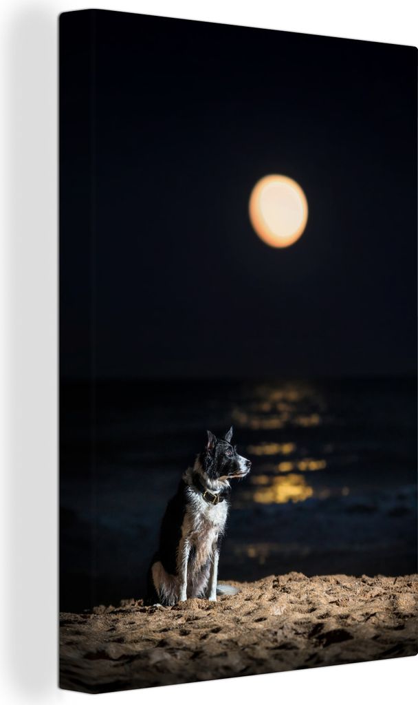 OneMillionCanvasses - Leinwandbilder - 90x140 cm, Ein Porträt eines Border Collie mit Vollmond, Wandbilder Kunstdruck Wanddekoration - Foto auf ...