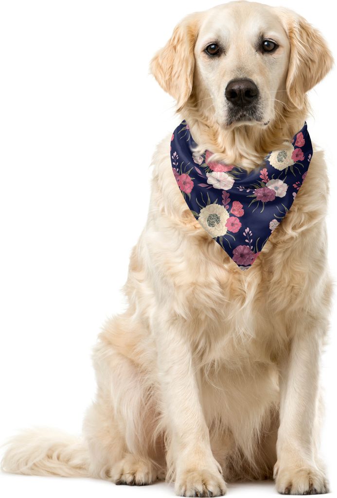 ABAKUHAUS Dahlie Haustier Bandana, Vintage-Blüten-Pfingstrose Mohn, 40x40 cm, Getrocknete Rose Pale Pink