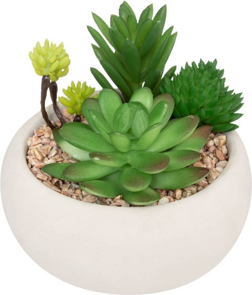 Künstliche fettpflanze zementtopf h10cm - Atmosphera créateur d'intérieur