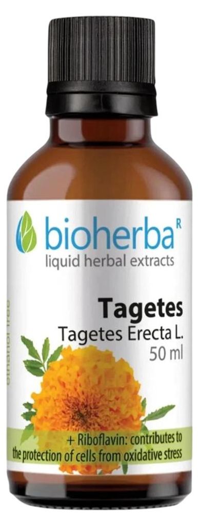 Aksamitník kapky – tinktura – 50 ml – Bioherba Obrázek produktu 
