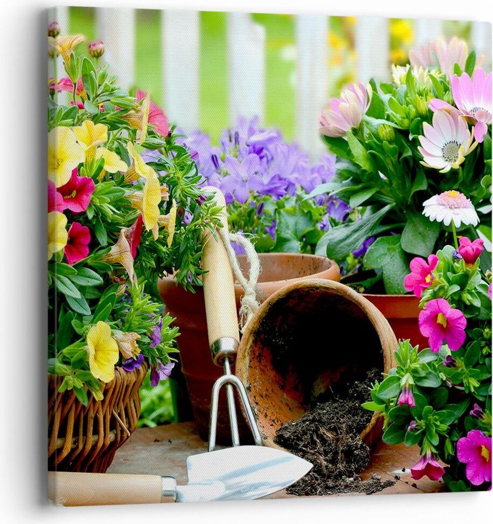 Bild auf Leinwand - Leinwandbild - Pflanzen Garten Frühling Natur - 40x40cm - Wand Bild - Wanddeko - Leinwanddruck - Bilder - Kunstdruck - Wanddek...