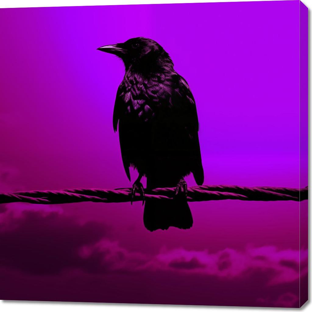 Bild 100x100cm Silhouette des Geheimnisses