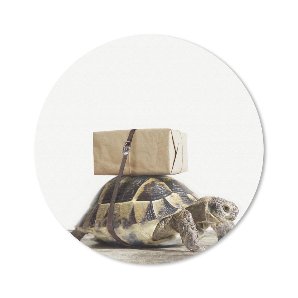MuchoWow Mauspad Mousepad Schildkröte - Holz - Weiß - Jungen - Mädchen - Kinder 50x50 cm - Mousepads - Maus Mat - Pad - Mausunterlage - Vinyl