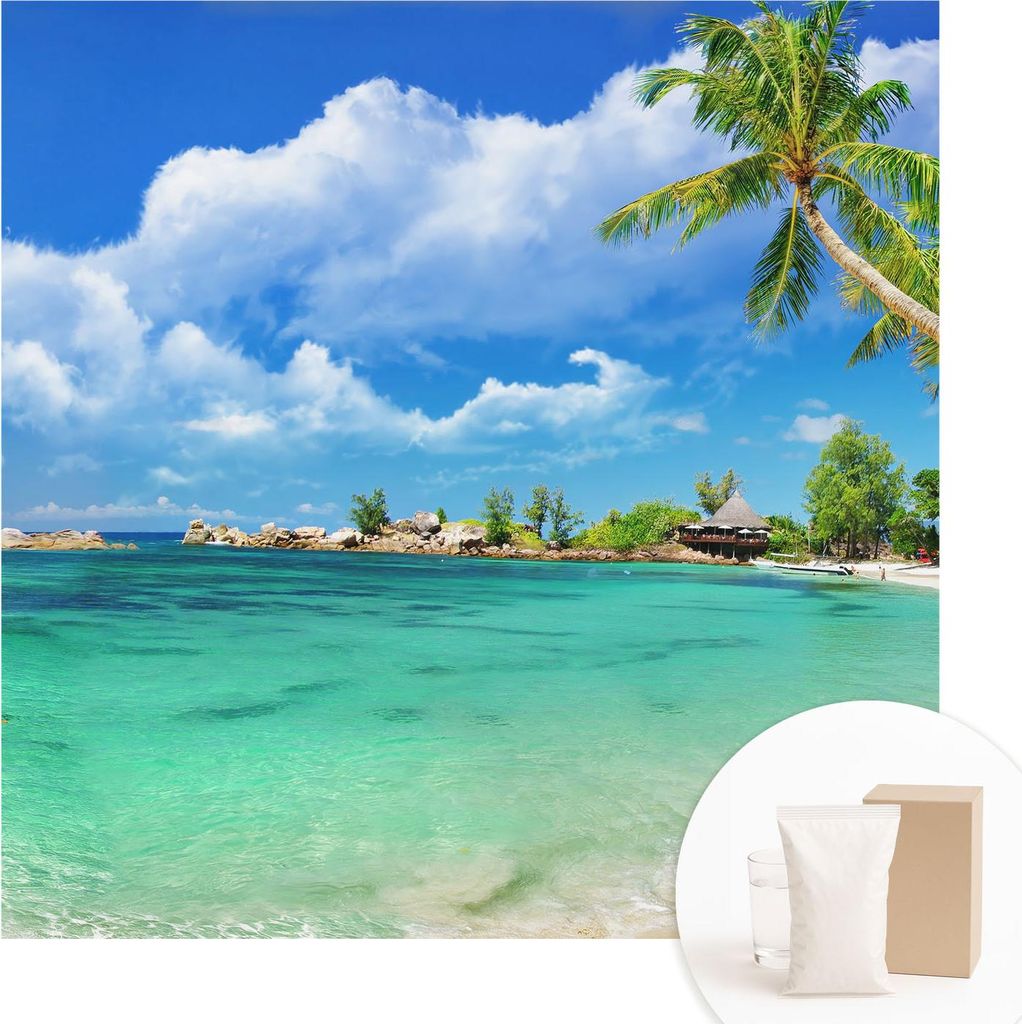 Fototapete - Wandbilder für Wohnzimmer - 250x250 cm - Dekorative Wandfolie - Modernes Design für Wanddekoration - Tapeten für Innenräume - Trop...