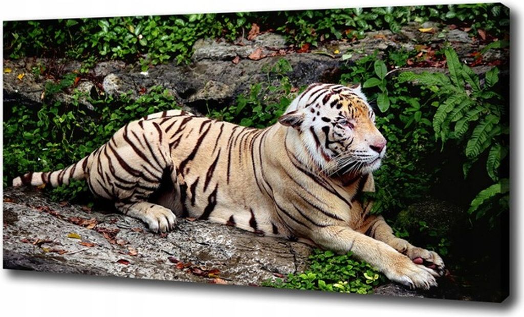 Foto Leinwand Gemälde Tiger auf einem Felsen 120x60 cm