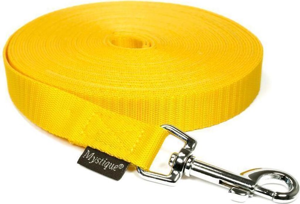 Mystique Leinen Nylon 20mm ohne Handschlaufe 3.00m gelb