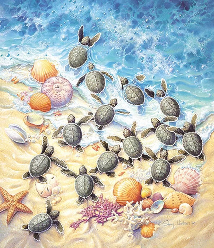 SunsOut Puzzle Green Turtle Hatchlings - 550 Teile