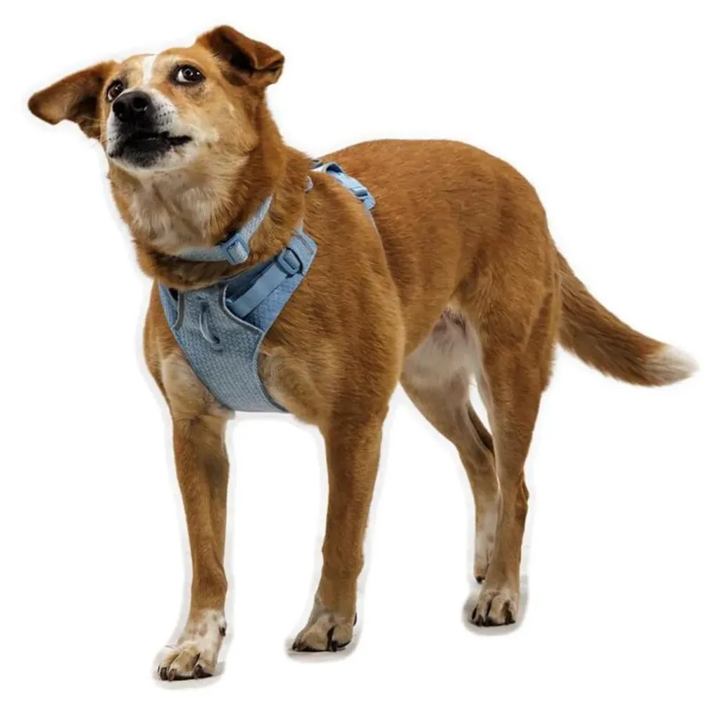 Collier Chien Réglable Ruffwear Front Range Flex Confort Bleu Polaire - 7