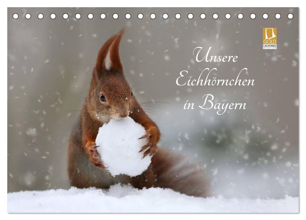 Unsere Eichhörnchen in Bayern (Tischkalender 2027 DIN A5 quer), CALVENDO Monatskalender