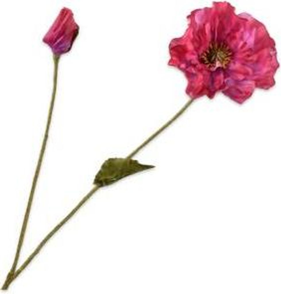 Kunstblume von Silk-ka – Seidenblumen-Mohnzweig, rot, 74 cm