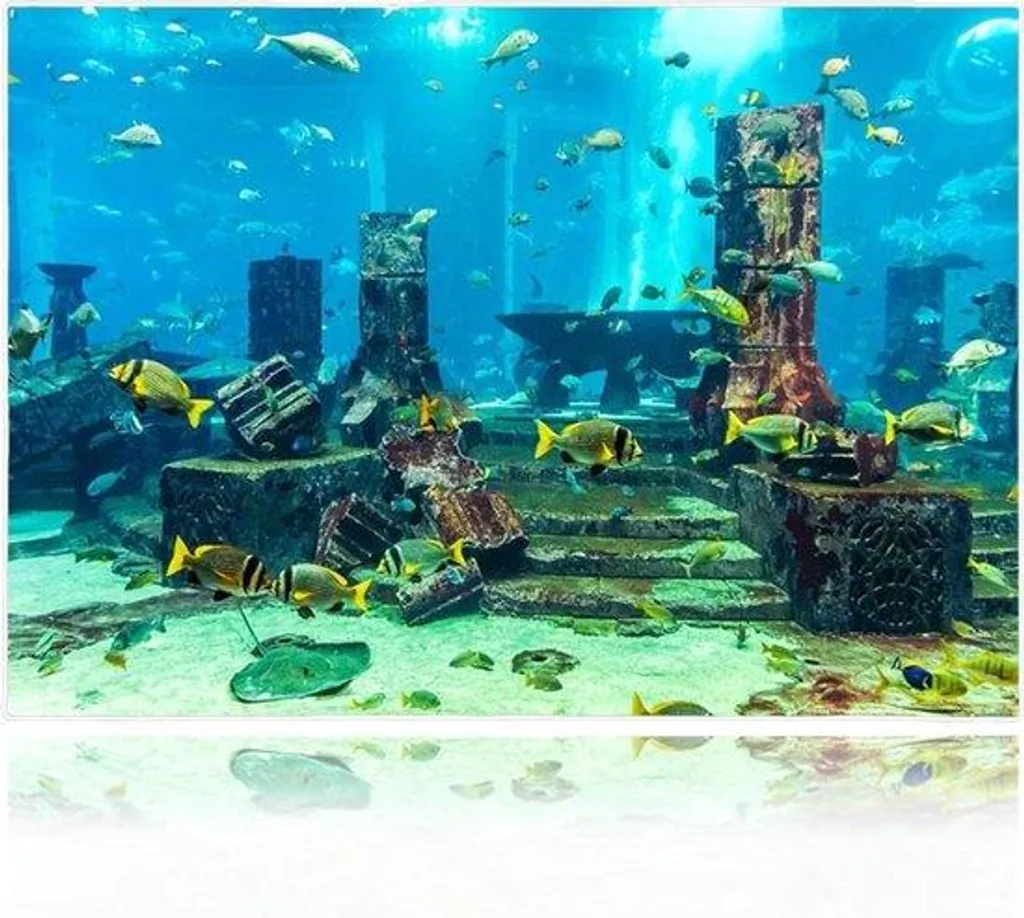 Poster Aquarium Koral en PVC : Fond Sous-Marin Autocollant 60x40cm