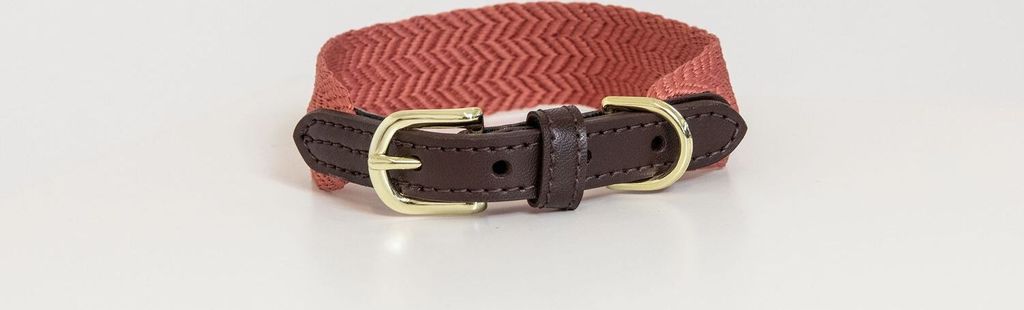 Kentucky Dogwear Hundehalsband Jacquard Terrakotta XS