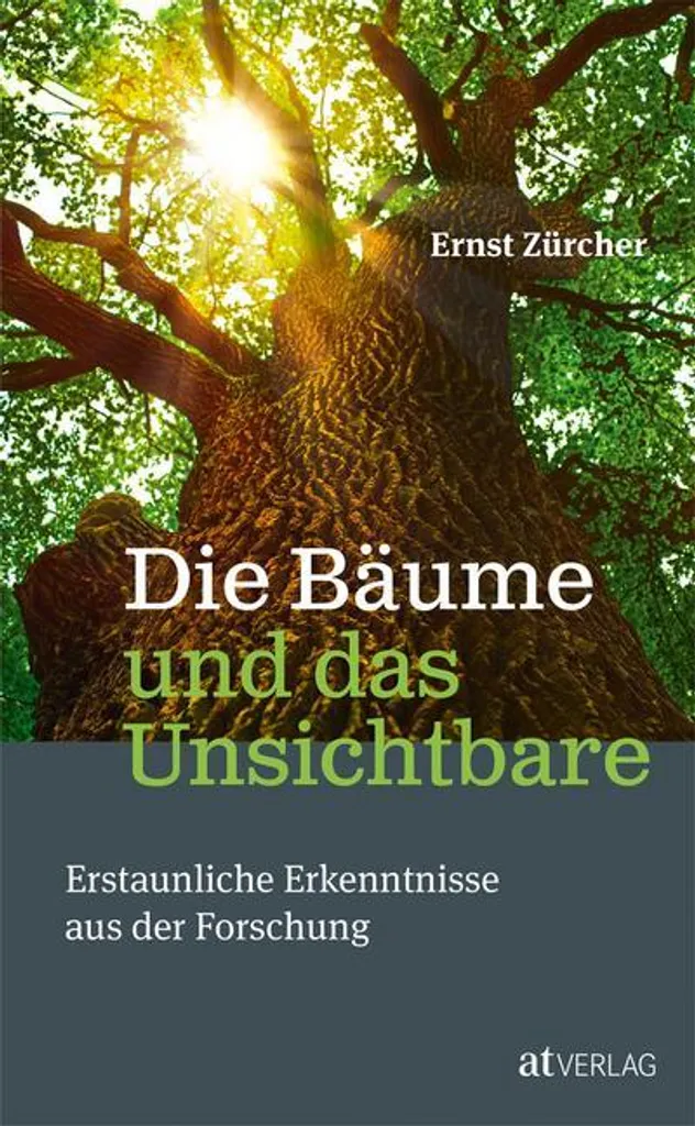 Beau Livre d'Art Die Bäume und das Unsichtbare pour Collectionneur 240p