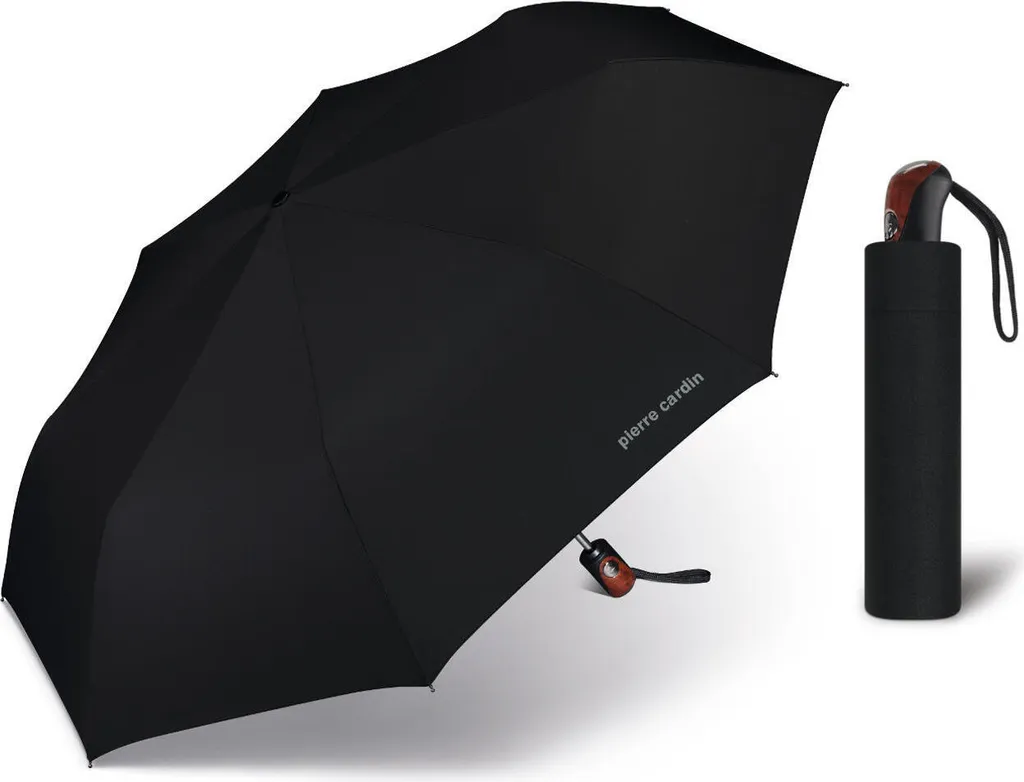 Parapluie Homme pour Trajet Professionnel et Sortie en Ville