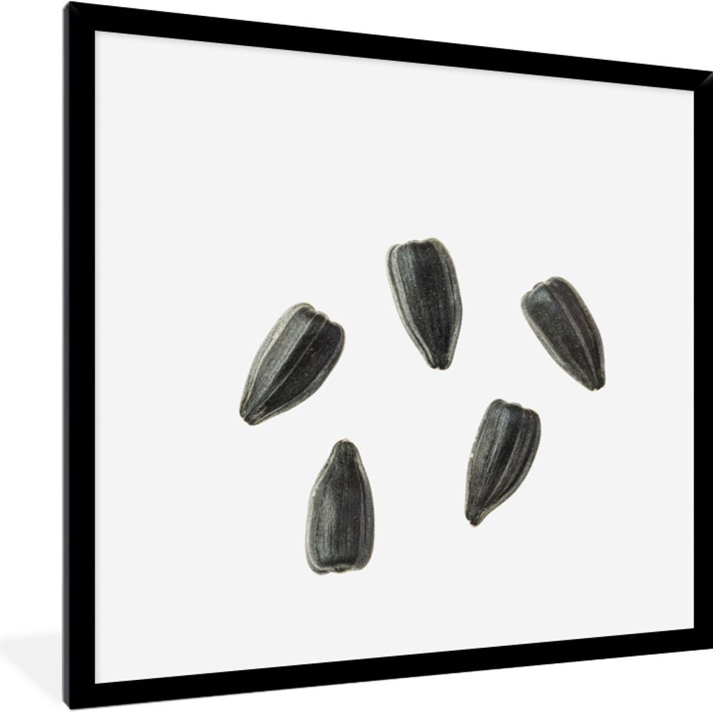 MuchoWow Gerahmtes Poster Schwarze Sonnenblumenkerne auf weißem Hintergrund 40x40 cm - Poster mit Schwarzem Bilderrahmen Wandposter Rahmen Foto ...
