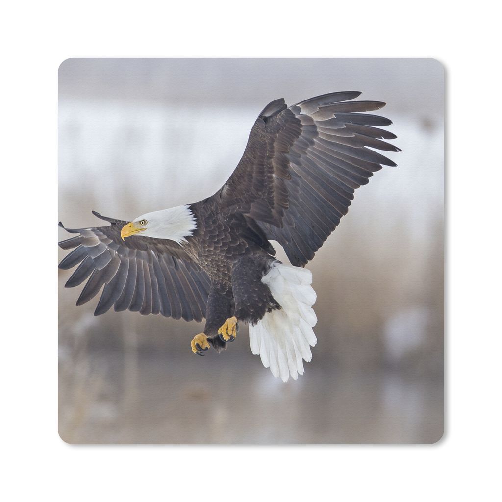 MuchoWow Mauspad Mousepad Ein amerikanischer Weißkopfseeadler mit ausgebreiteten Flügeln. 20x20 cm - Mousepads - Maus Mat - Pad - Mausunterlage...