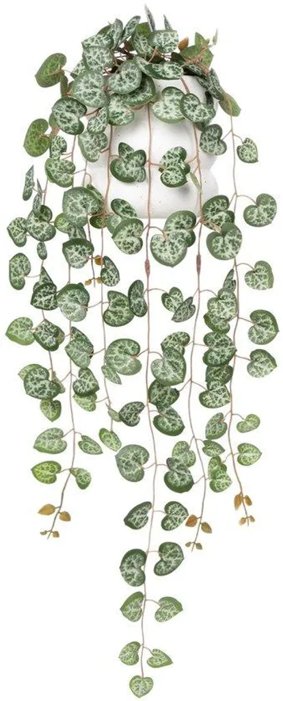 Plantes artificielles tombantes réalistes 56 cm - Déco sans arrosage