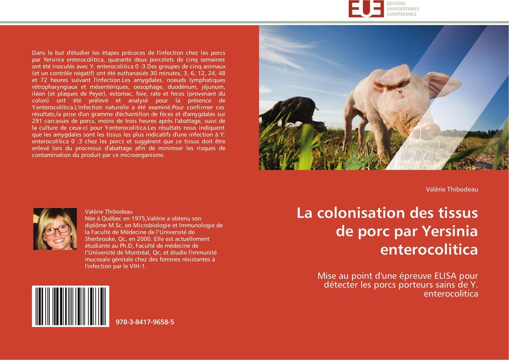 La colonisation des tissus de porc par Yersinia enterocolitica